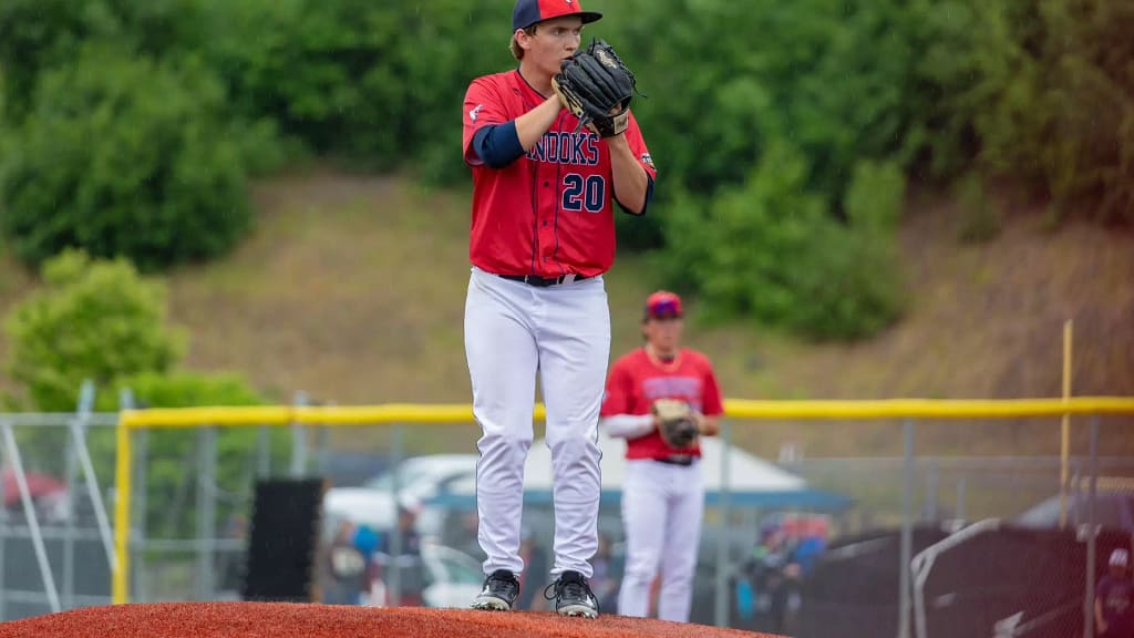 Tigers Playing Summer Ball