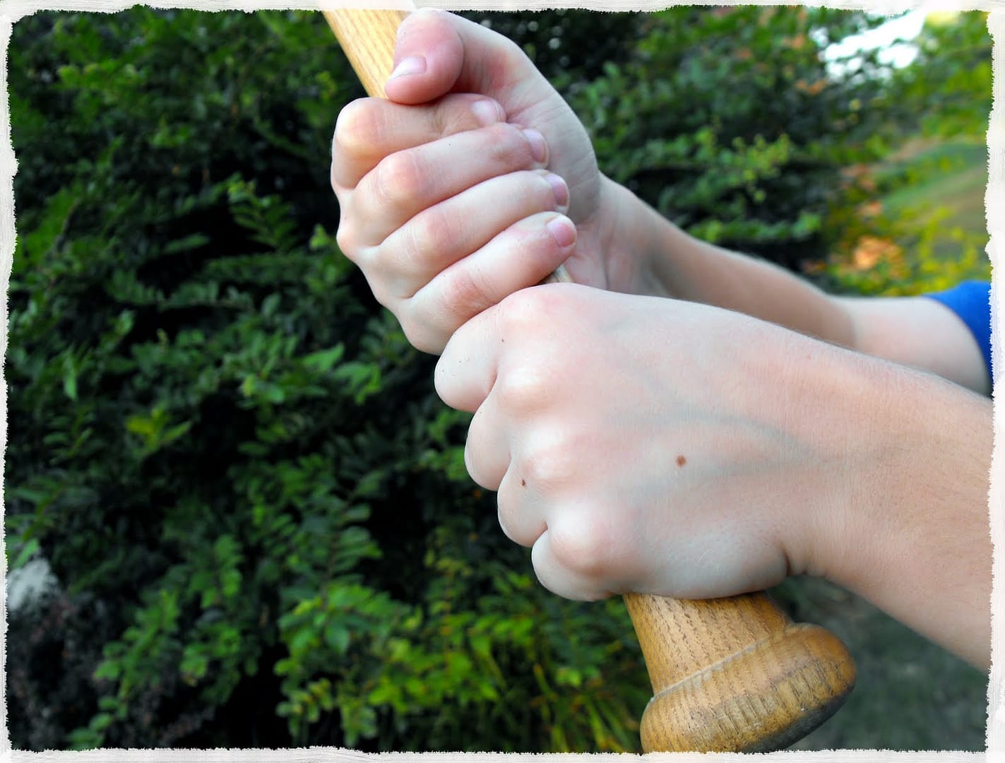 Hands-on-a-bat hands on bat