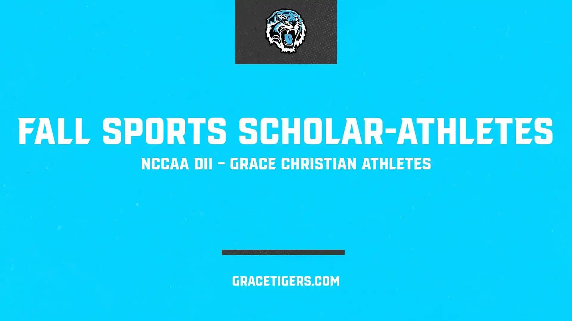 d3f52121-5fae-4ec4-9689-3df6a41db6fe_vjywn-4 Scholar Athletes banner