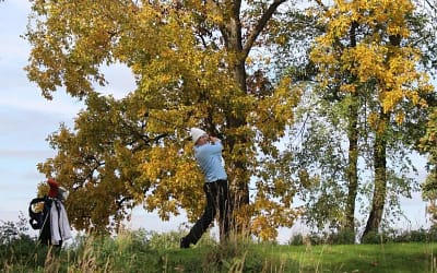 Tigers Golf Ends Season on High Note