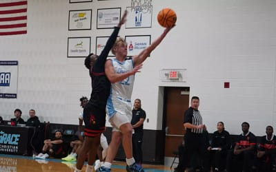 Tigers top Cardinals at home