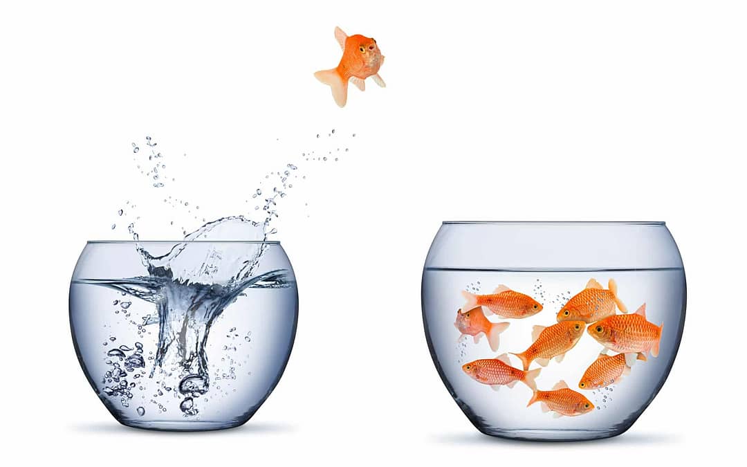 Admitted to Deposited Student: 3 Little Known Secrets to Making the Jump